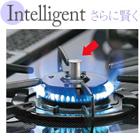 Intelligent@Ɍ